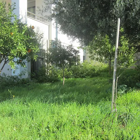 Alto Apartmán *